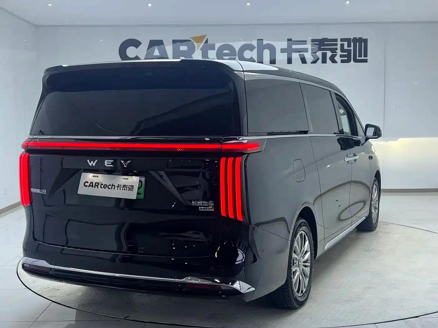 Weipai Gaoshan 2025 Model 4WD Gaoshan 9 — миниатюра 25