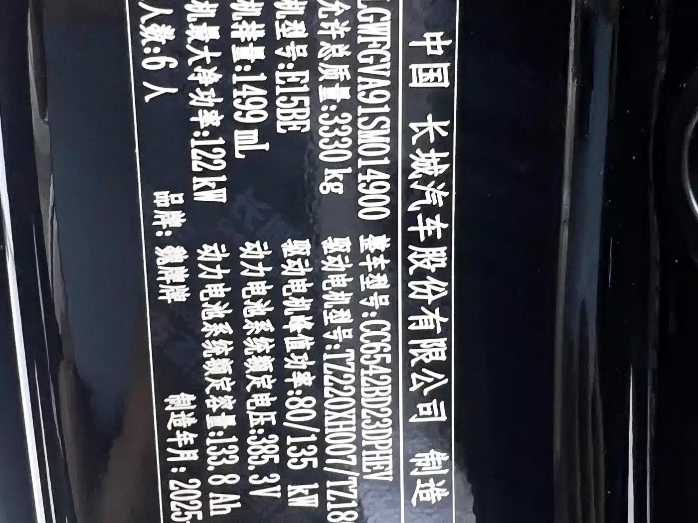 Weipai Gaoshan 2025 Model 4WD Gaoshan 9 — миниатюра 6