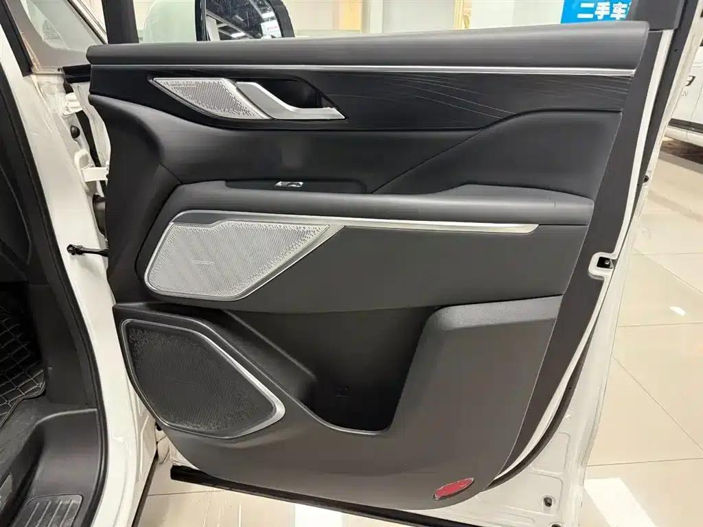 Weipai Gaoshan 2023 4WD Premium Edition — миниатюра 13