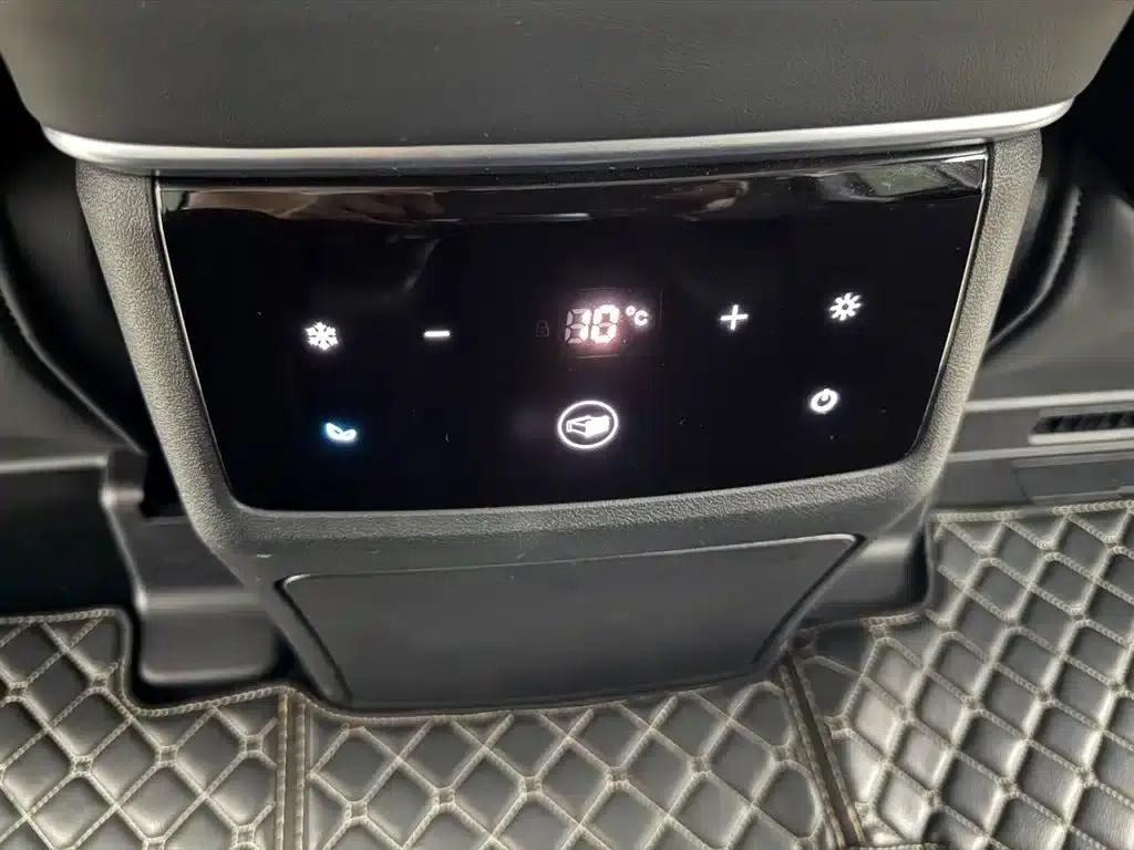 Weipai Gaoshan 2023 4WD Premium Edition — миниатюра 28