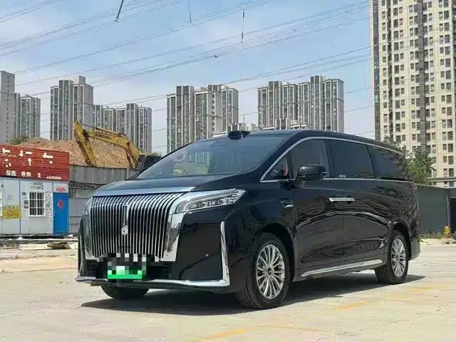 Weipai Gaoshan 2025 Model 4WD Gaoshan 8