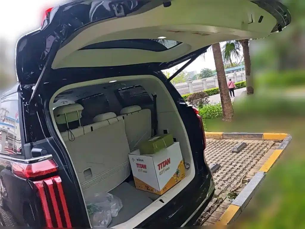 Weipai Gaoshan 2025 Model 4WD Gaoshan 8 — миниатюра 16
