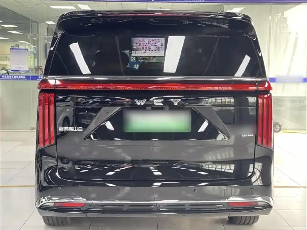 Weipai Gaoshan 2025 Model 4WD Gaoshan 8 — миниатюра 14