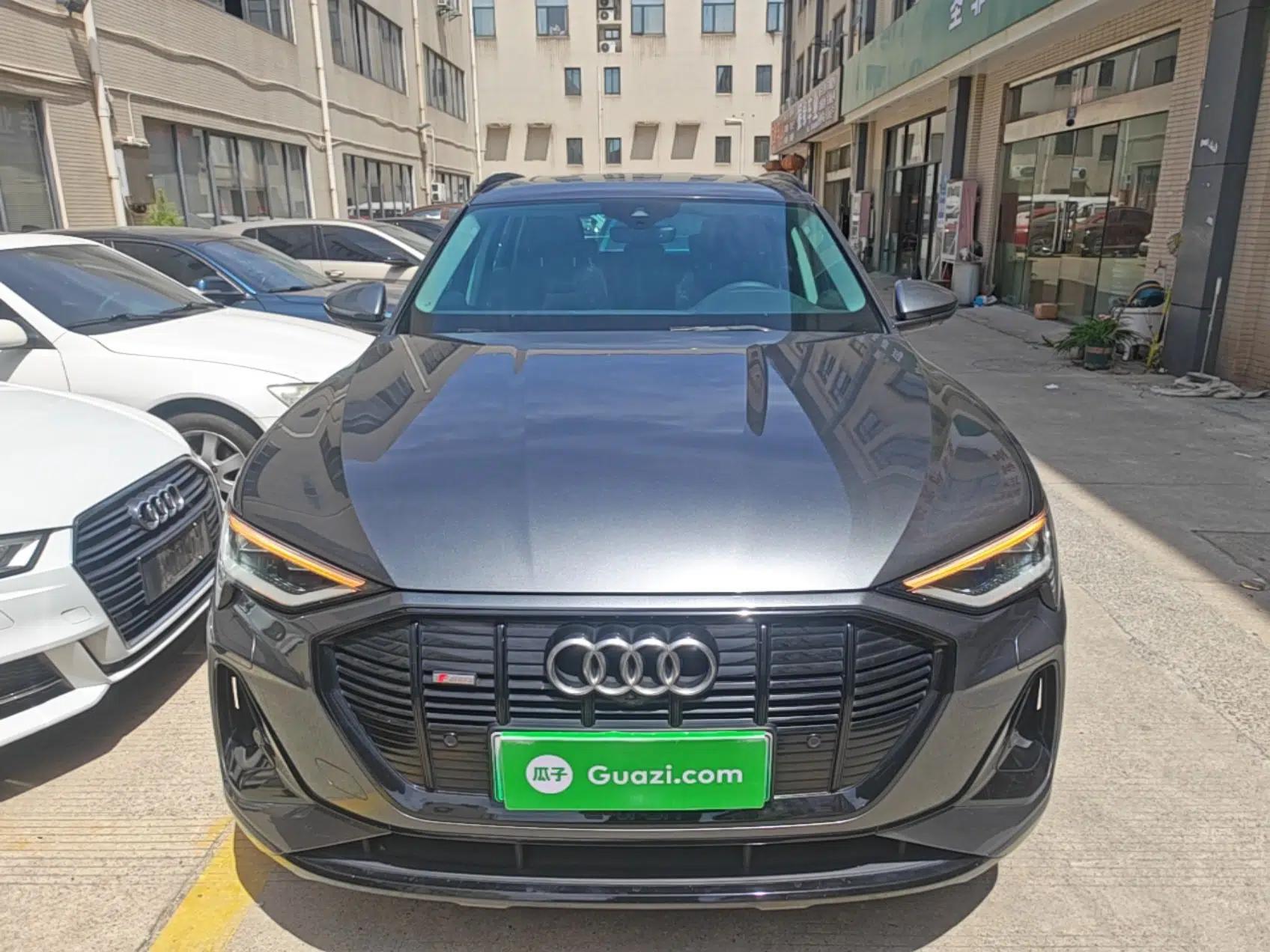 Audi e-tron 2021 50 quattro Luxury Edition — миниатюра 2