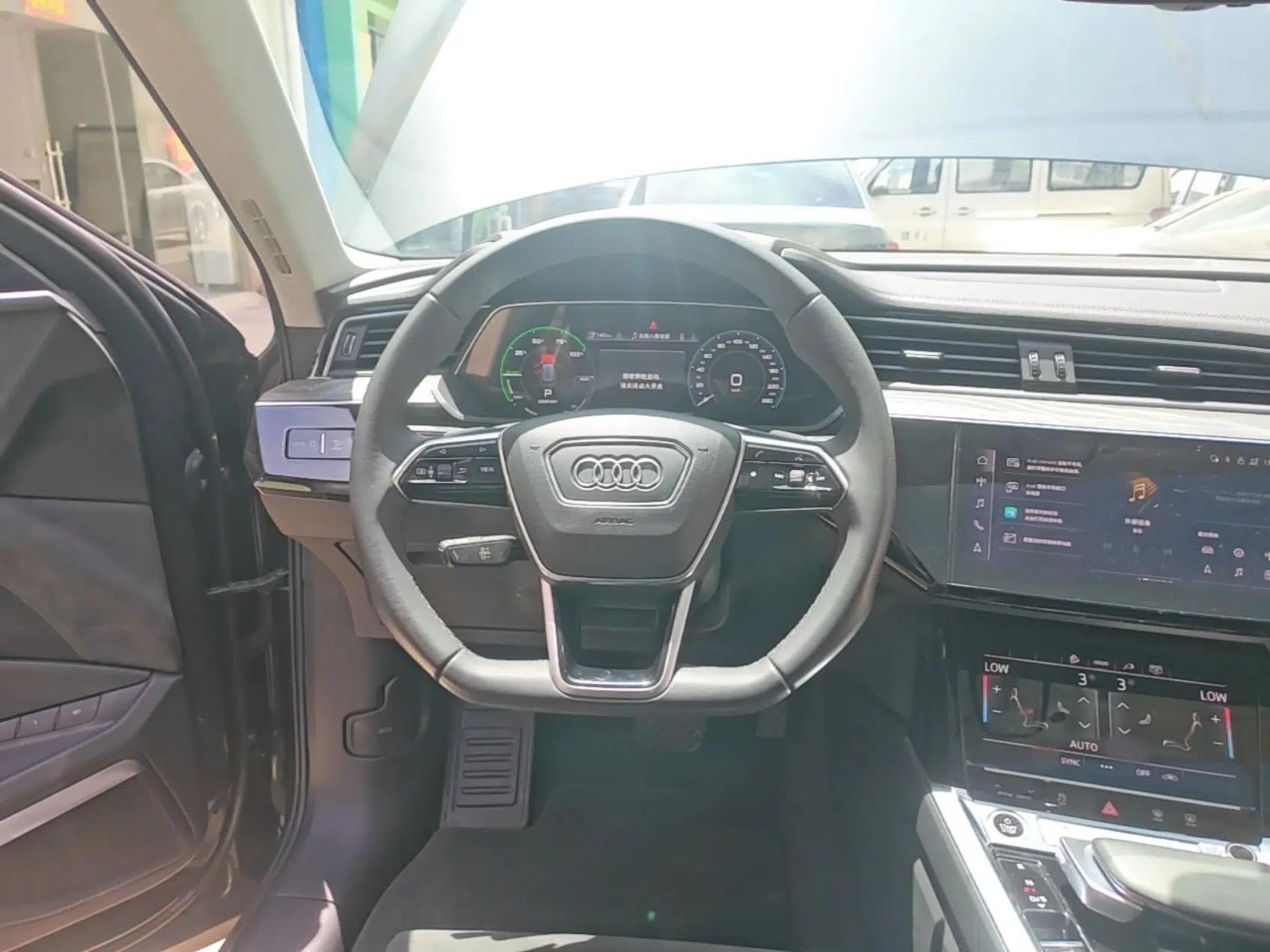 Audi e-tron 2021 50 quattro Luxury Edition — миниатюра 14
