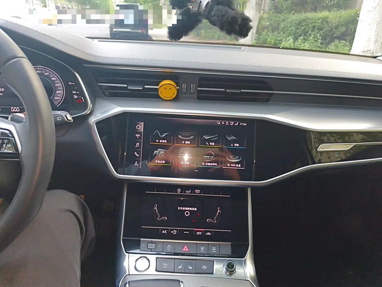 Audi A6 2020 Avant Futurist 45 TFSI Prestige Dynamic Edition — миниатюра 14