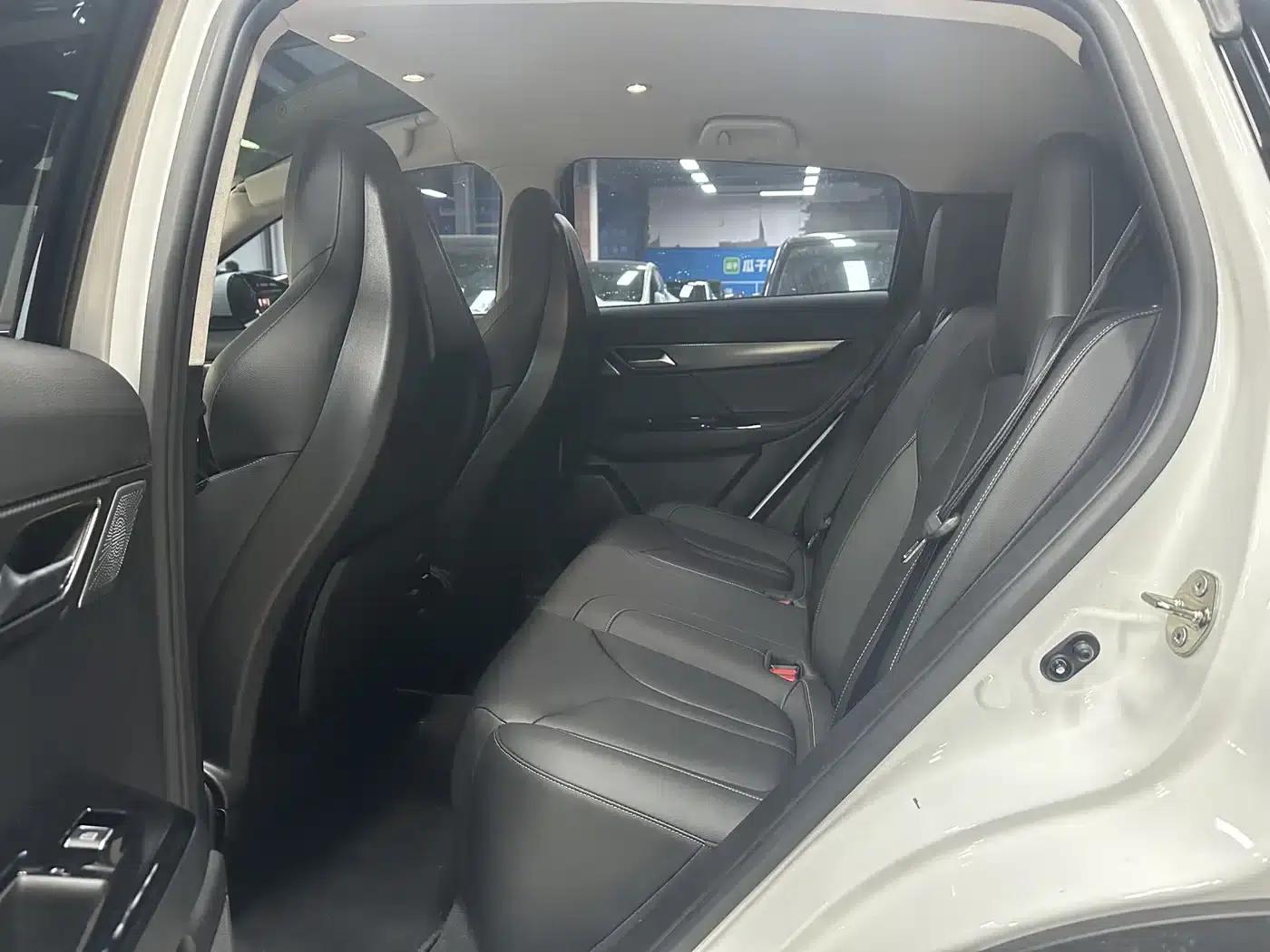 XPeng G3 2020 520 Enjoy Edition — миниатюра 8