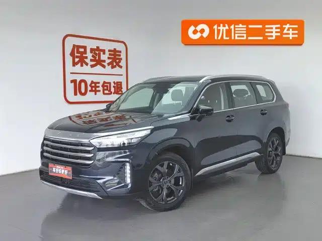 Starry Night 2021 390T AWD Starry Night Edition
