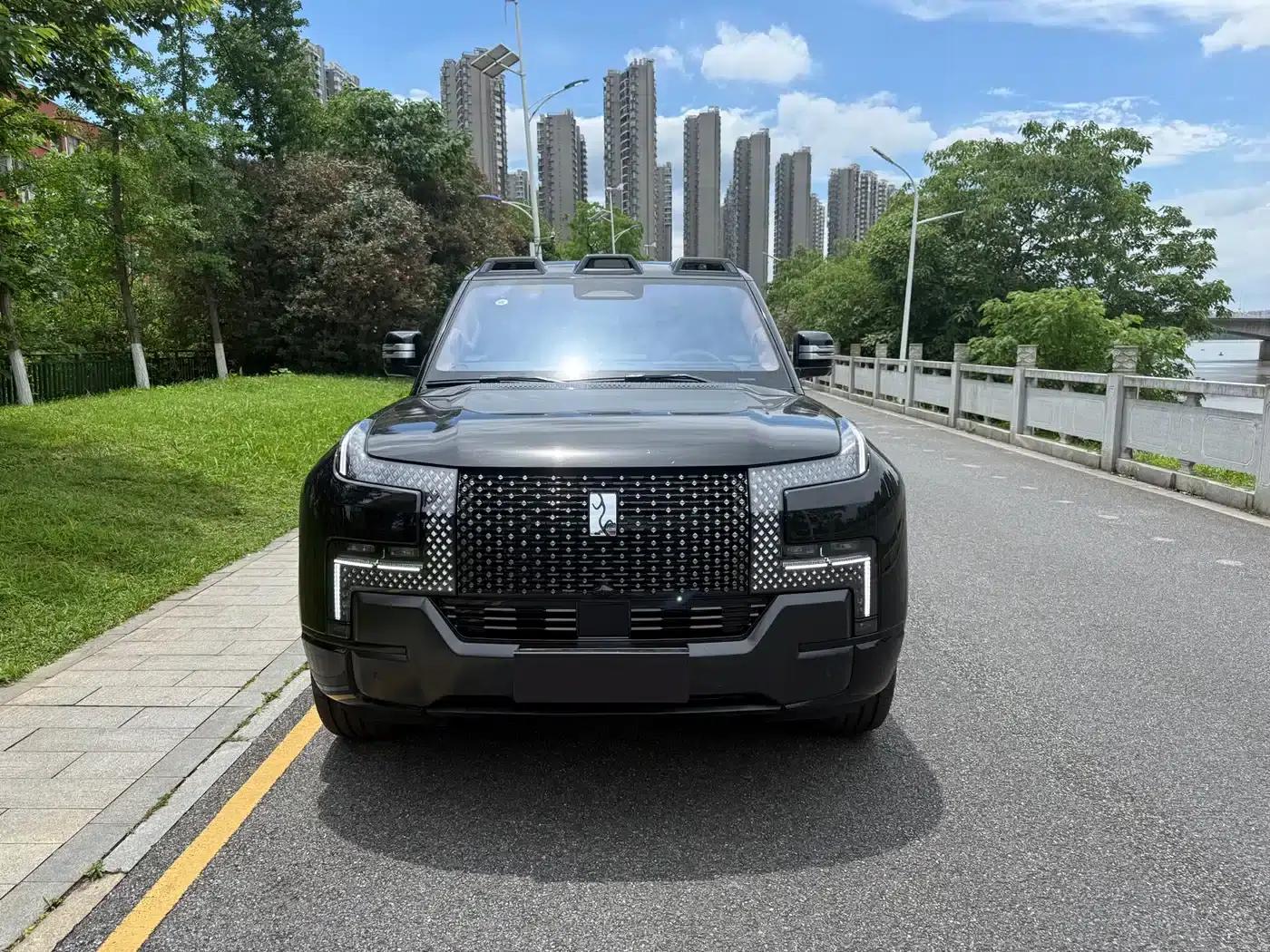 Looking up at the U8 L 2025 Dingshi Edition — миниатюра 2