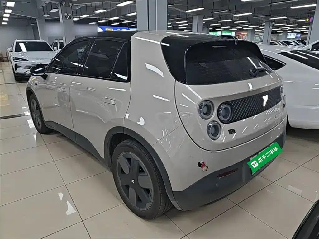 Firefly 2025 Model - Comfort Edition — миниатюра 5