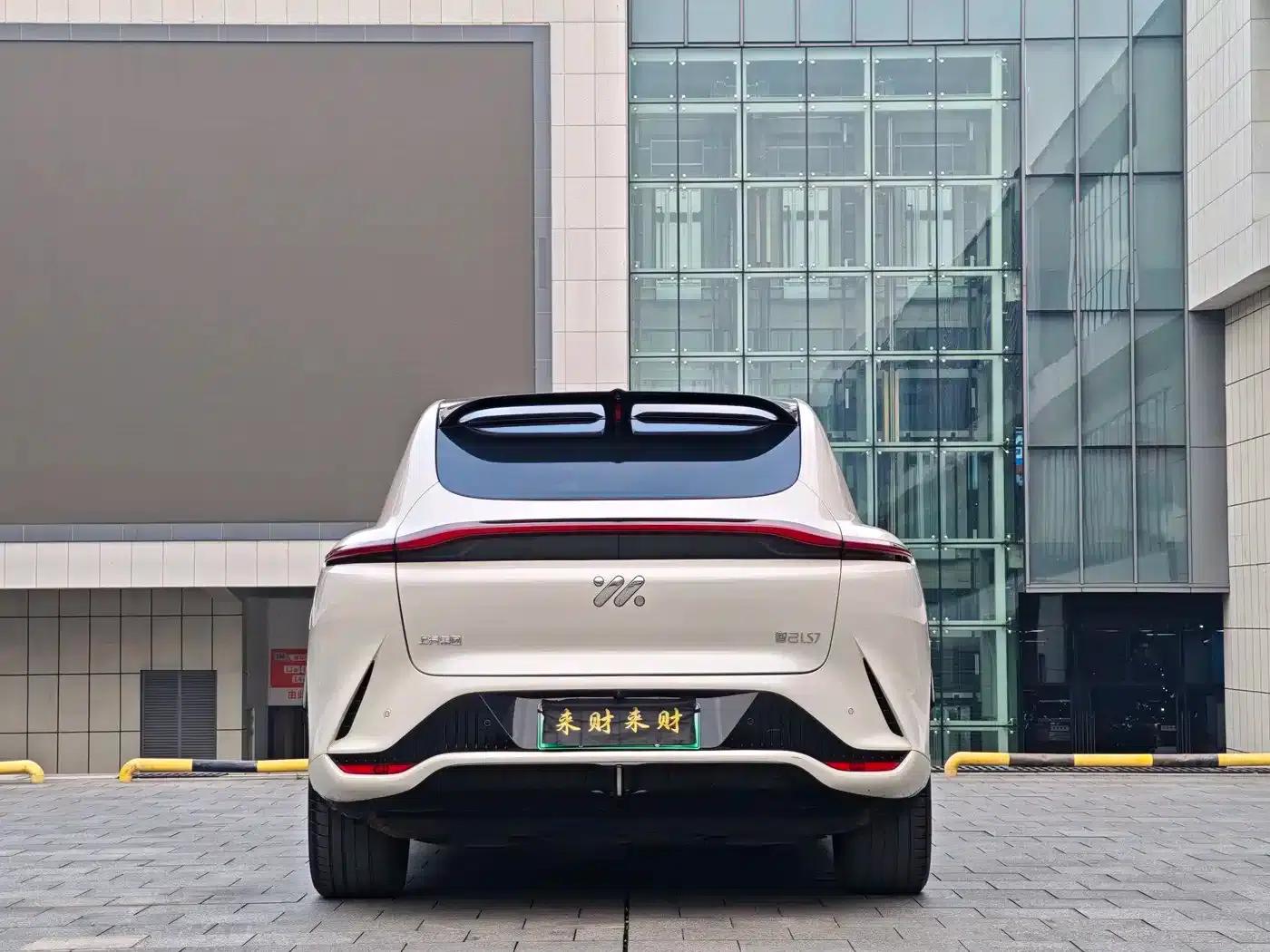 2023 Smart LS7 90kWh Elite Rear-Wheel Drive Edition — миниатюра 19