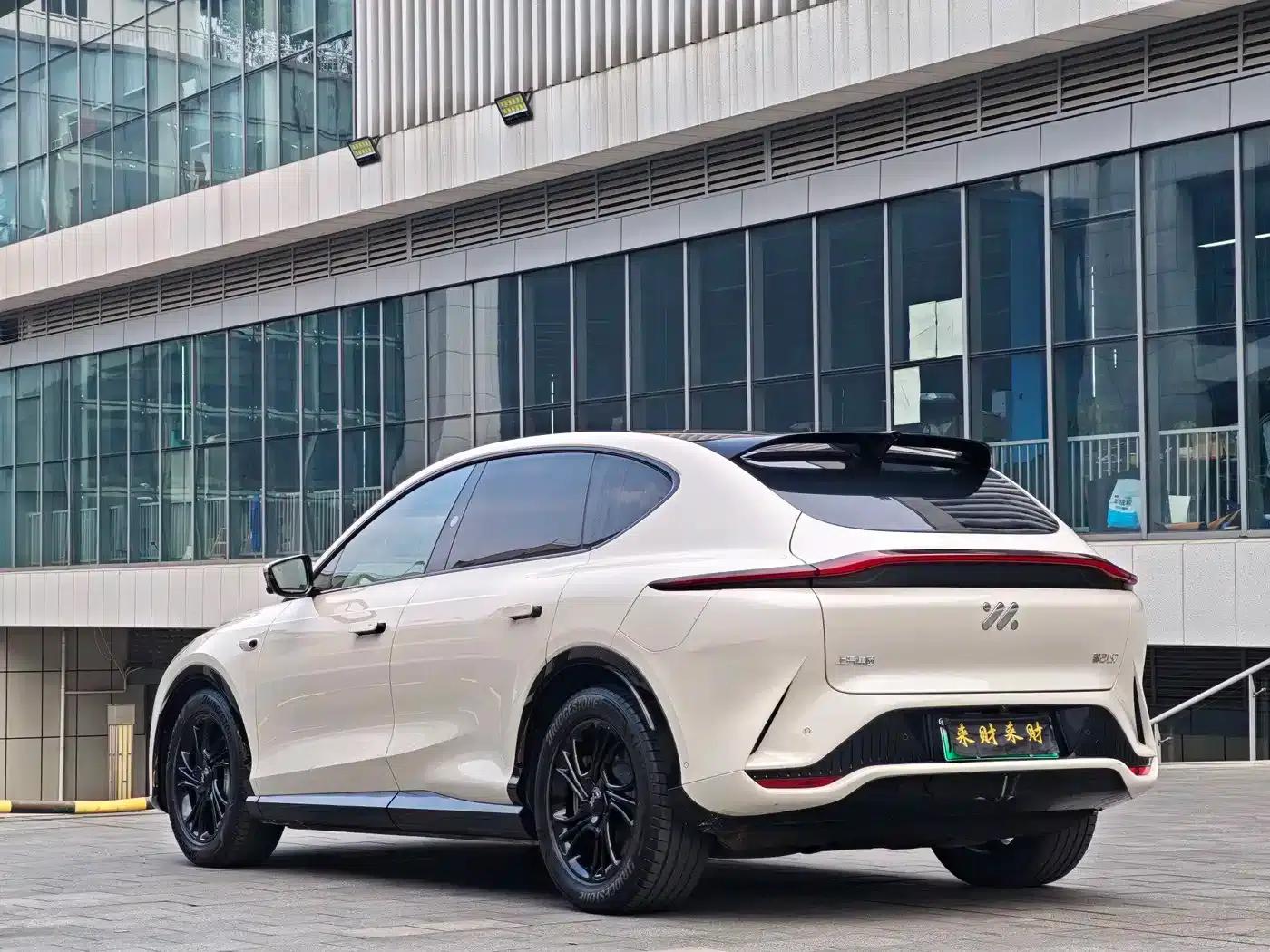 2023 Smart LS7 90kWh Elite Rear-Wheel Drive Edition — миниатюра 20