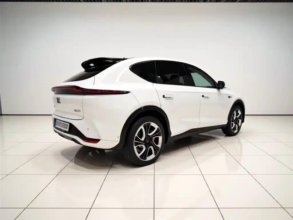 2023 Smart LS7 90kWh Elite Rear-Wheel Drive Edition — миниатюра 13