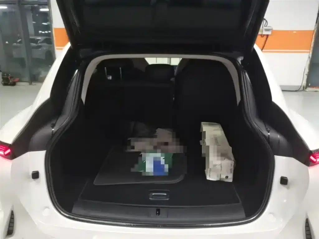 2023 Smart LS7 90kWh Elite Rear-Wheel Drive Edition — миниатюра 19