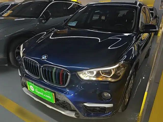 BMW X1 New Energy 2019 xDrive25Le Mileage Upgrade Version