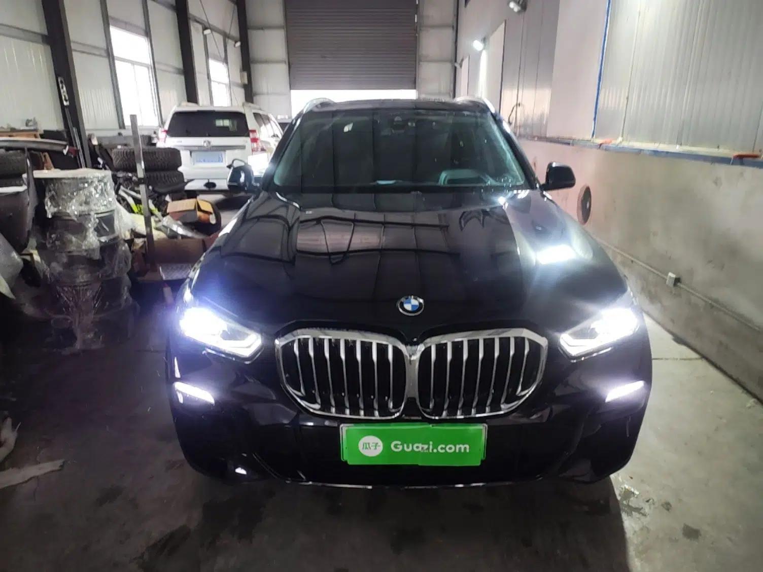 BMW X5 New Energy 2020 xDrive45e M Sport Package — миниатюра 2