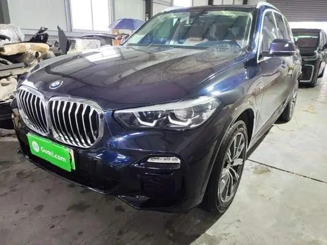 BMW X5 New Energy 2020 xDrive45e M Sport Package