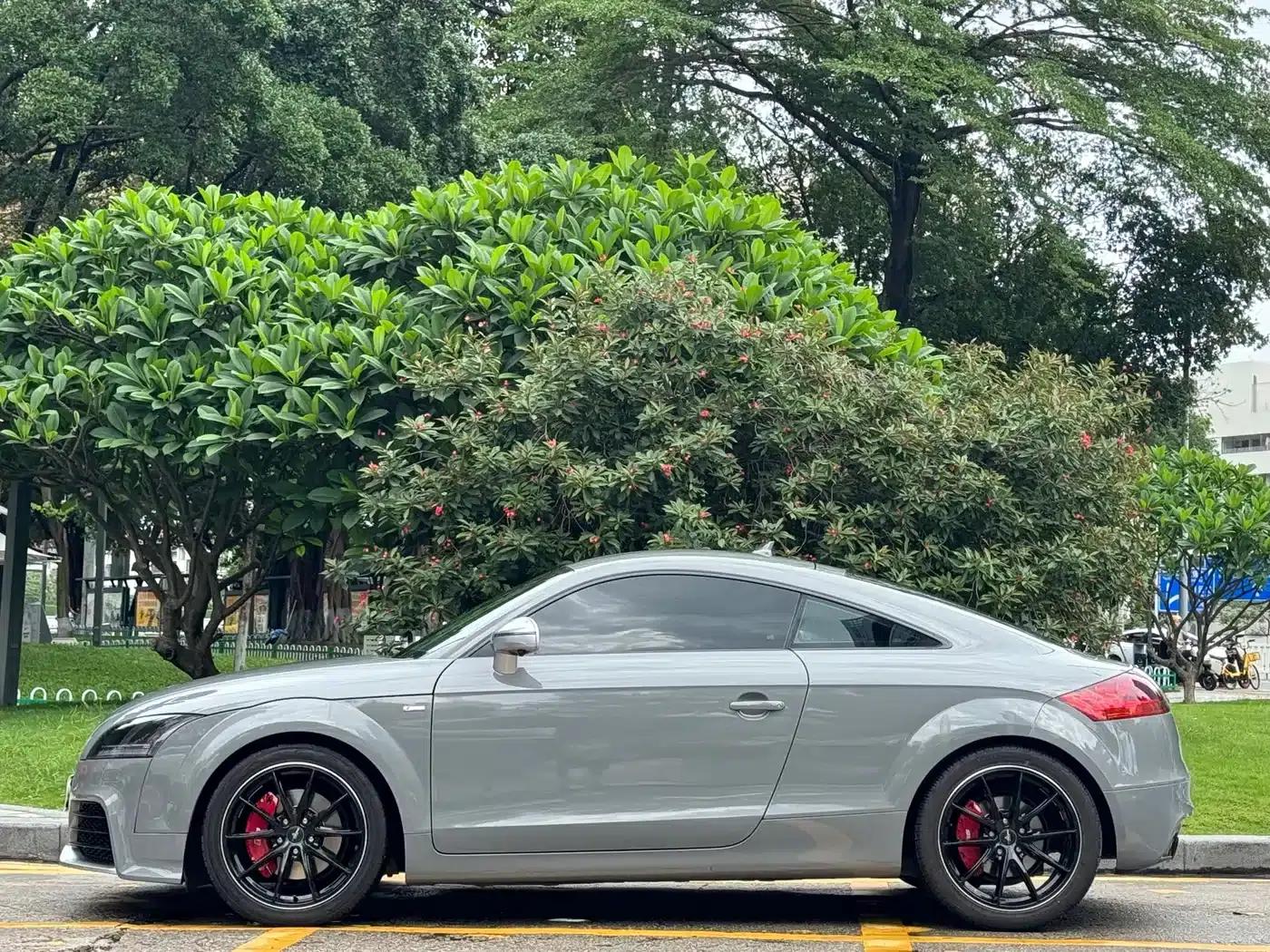 Audi TT 2010 TT 2.0TFSI Collector's Edition — миниатюра 4