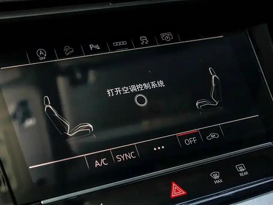 Audi Q6 2024 40 TFSI quattro Cloud View Edition, Feathered Forest Package, 7-seater — миниатюра 17