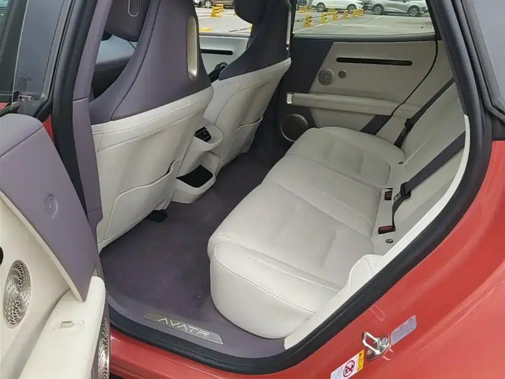 Avita 06 2025 Pro Extended Range — миниатюра 17