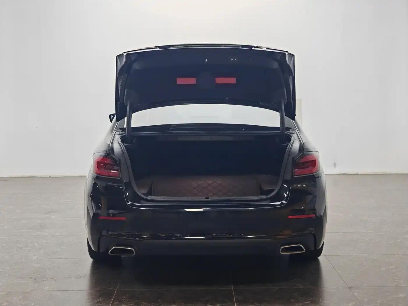 BMW 5 Series PHEV 2021 535Le Luxury Package — миниатюра 12