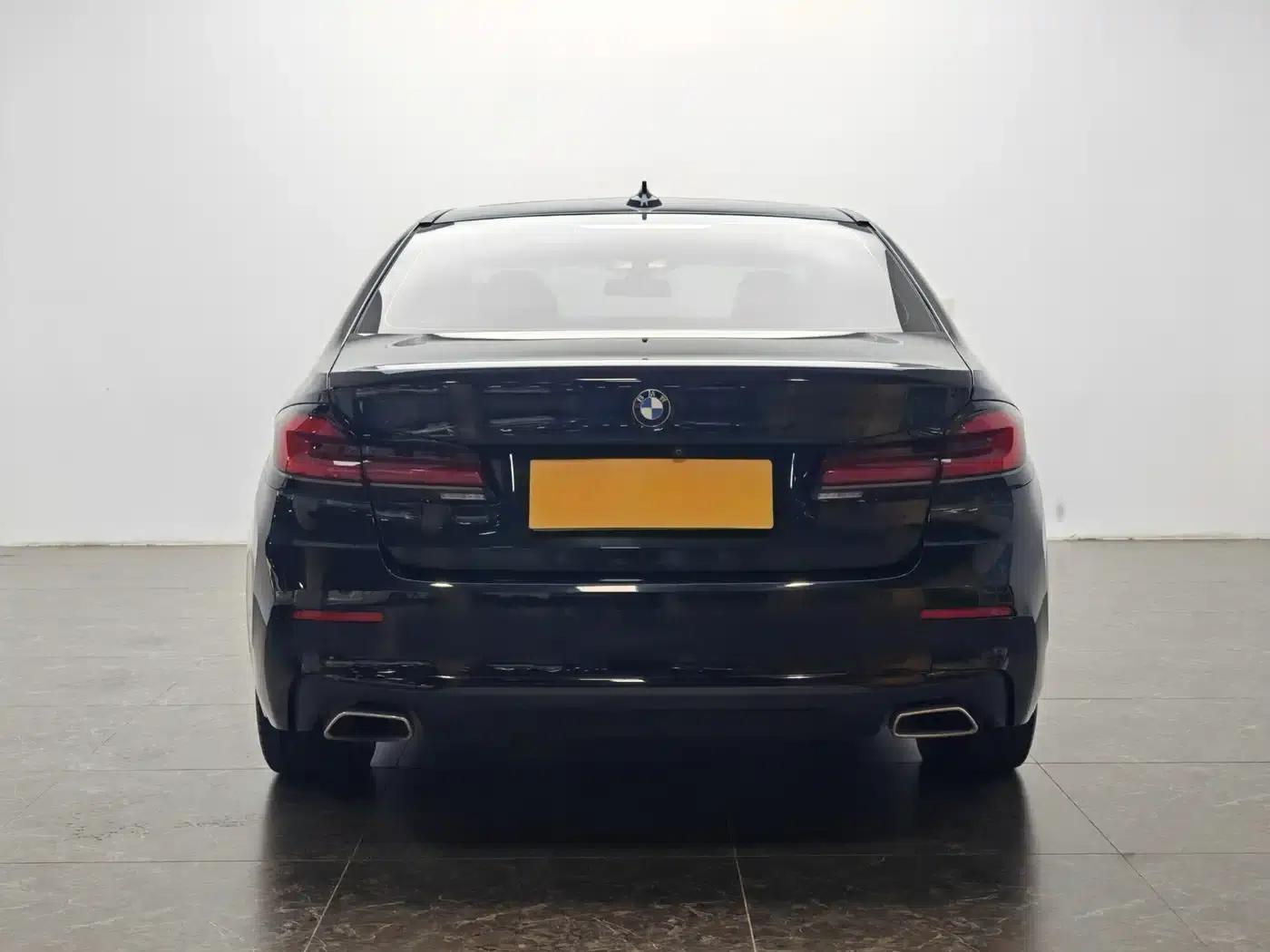 BMW 5 Series PHEV 2021 535Le Luxury Package — миниатюра 6