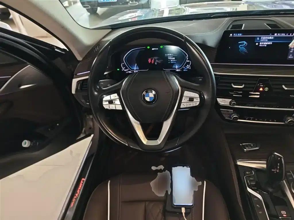 BMW 5 Series PHEV 2020 Mileage Upgrade Edition 530Le Pioneer Edition — миниатюра 11