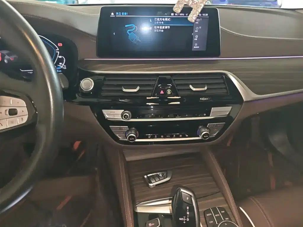 BMW 5 Series PHEV 2020 Mileage Upgrade Edition 530Le Pioneer Edition — миниатюра 13