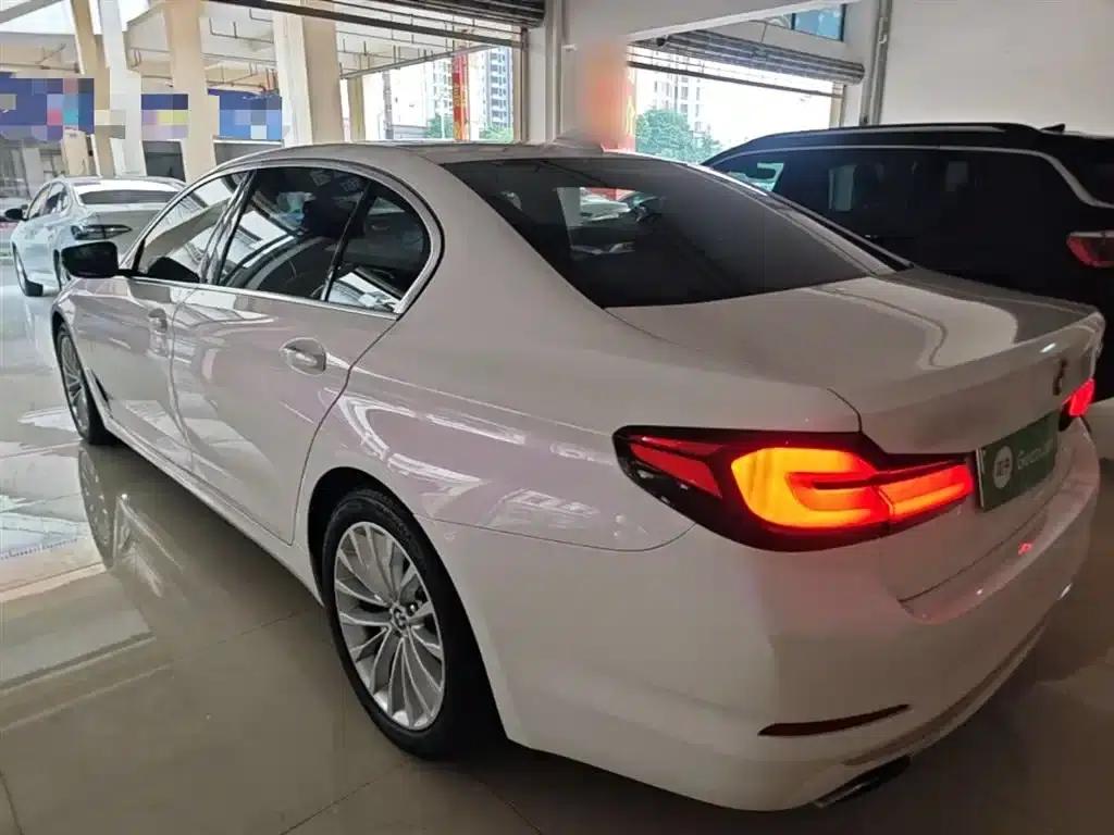 BMW 5 Series PHEV 2020 Mileage Upgrade Edition 530Le Pioneer Edition — миниатюра 5