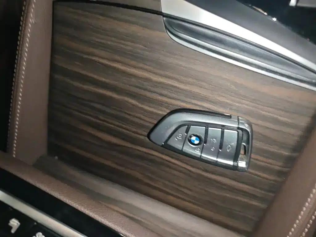 BMW 5 Series PHEV 2020 Mileage Upgrade Edition 530Le Pioneer Edition — миниатюра 9