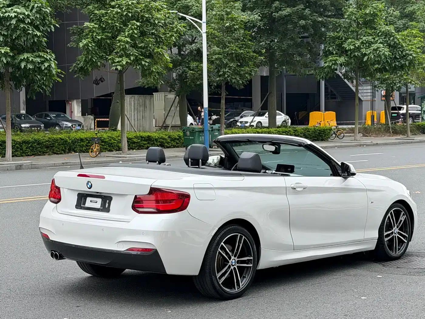 2019 BMW 2 Series Imported 225i Convertible Coupe, M Sport Package — миниатюра 6