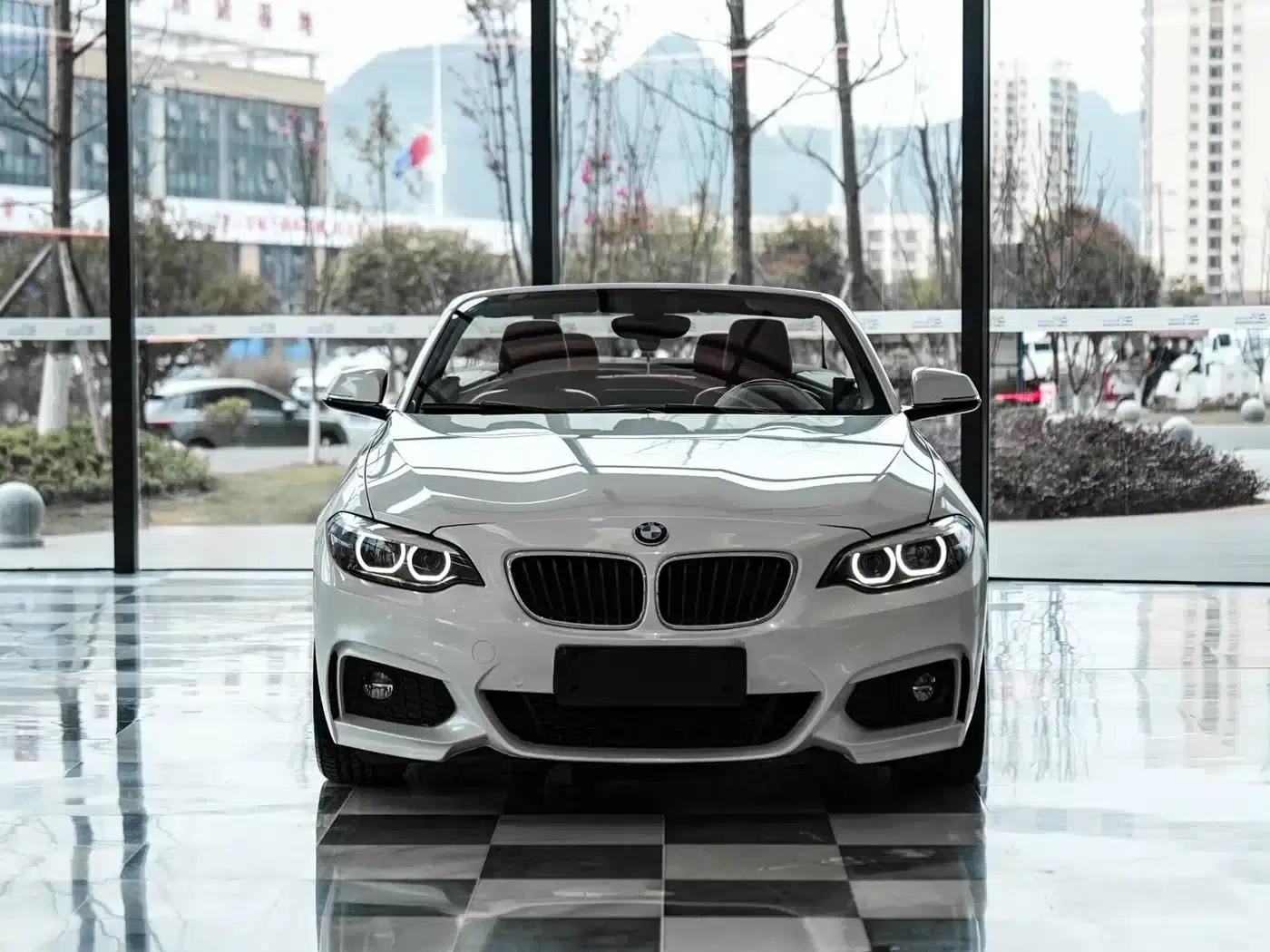 2018 BMW 2 Series (Imported) 225i Convertible Coupe M Sport — миниатюра 2