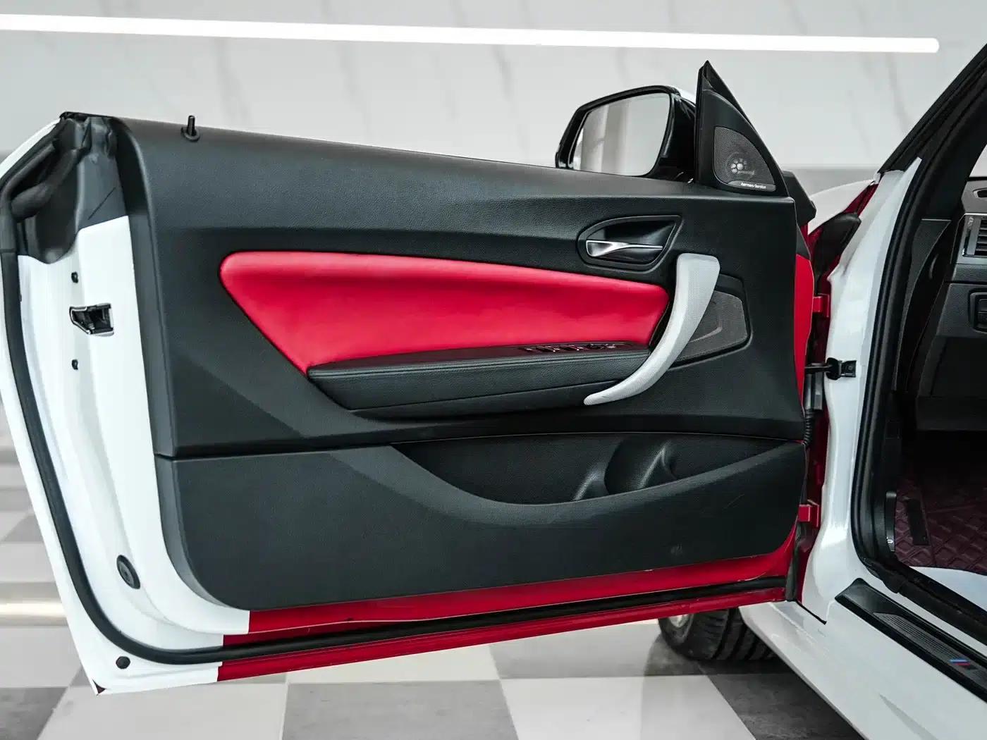 2018 BMW 2 Series (Imported) 225i Convertible Coupe M Sport — миниатюра 16