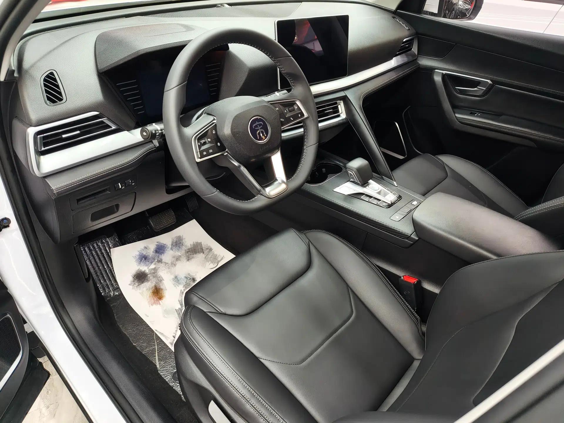 BYD Song Pro 2019 1.5T Automatic Luxury Model — миниатюра 21