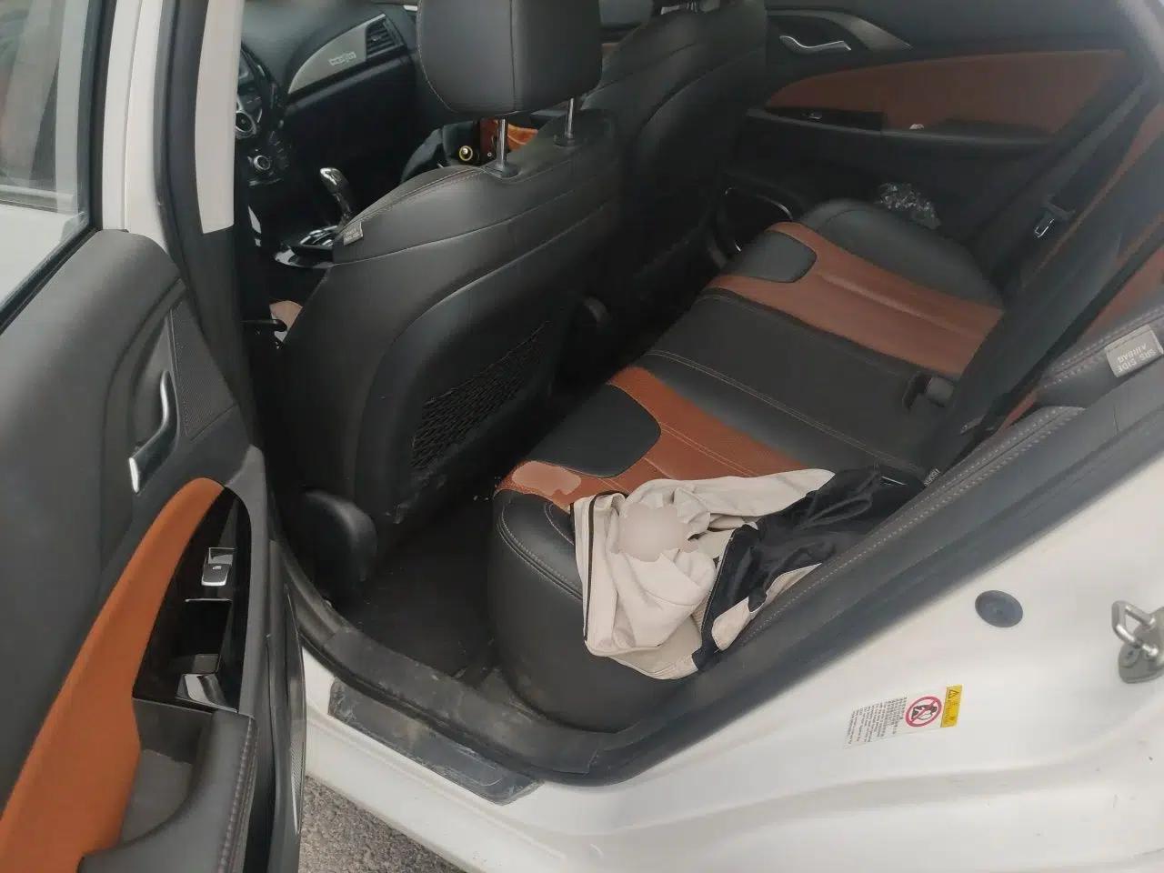 BYD Qin New Energy 2015 1.5T Dual-Crown Flagship Plus Edition — миниатюра 18