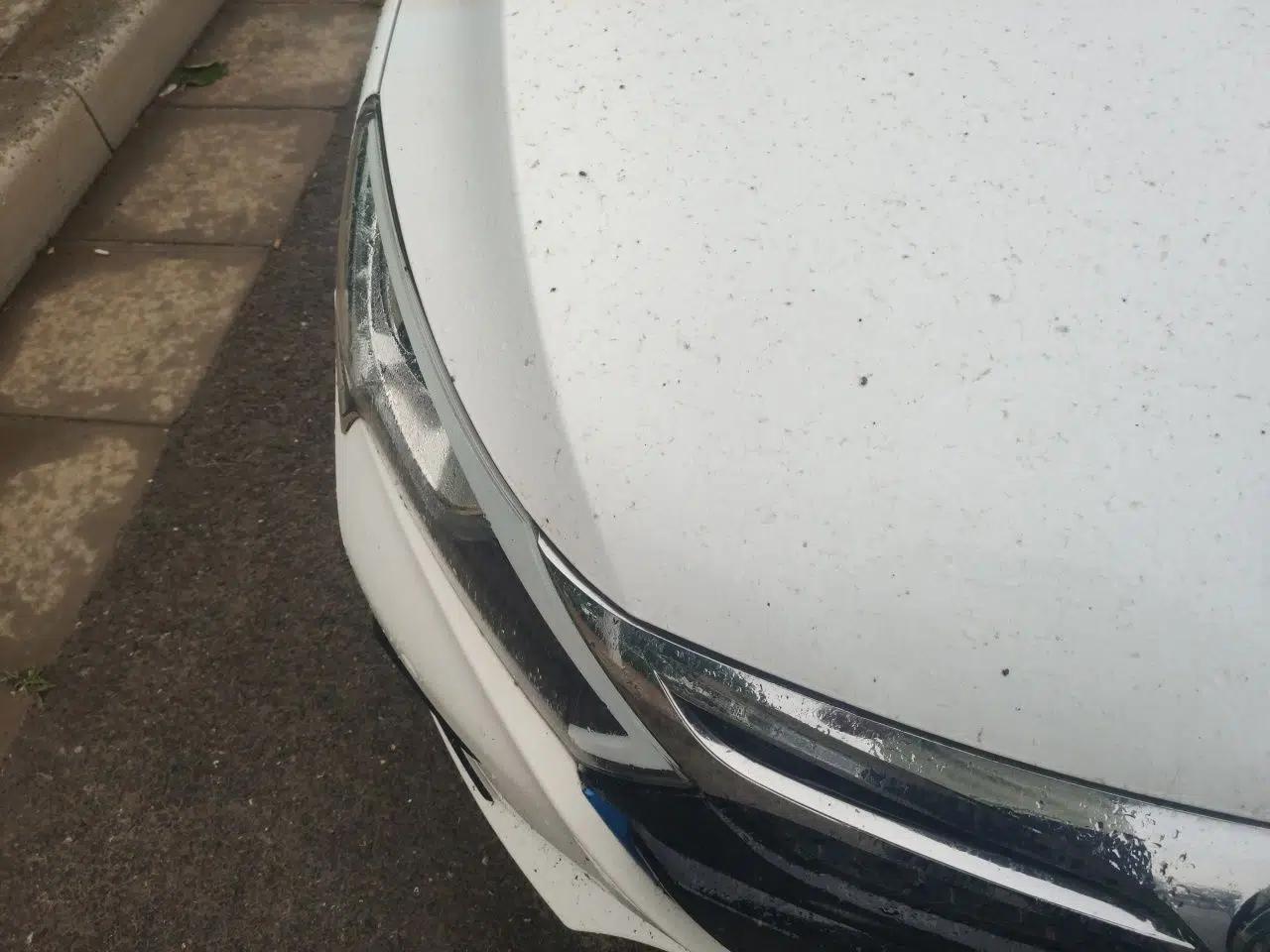 BYD Qin New Energy 2015 1.5T Dual-Crown Flagship Plus Edition — миниатюра 7