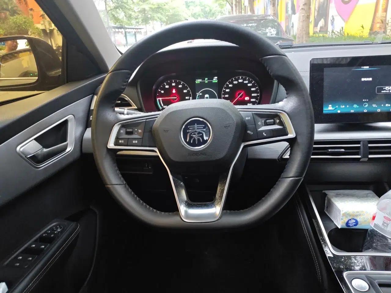 BYD Qin New Energy 2019 High-Range Luxury Model — миниатюра 9