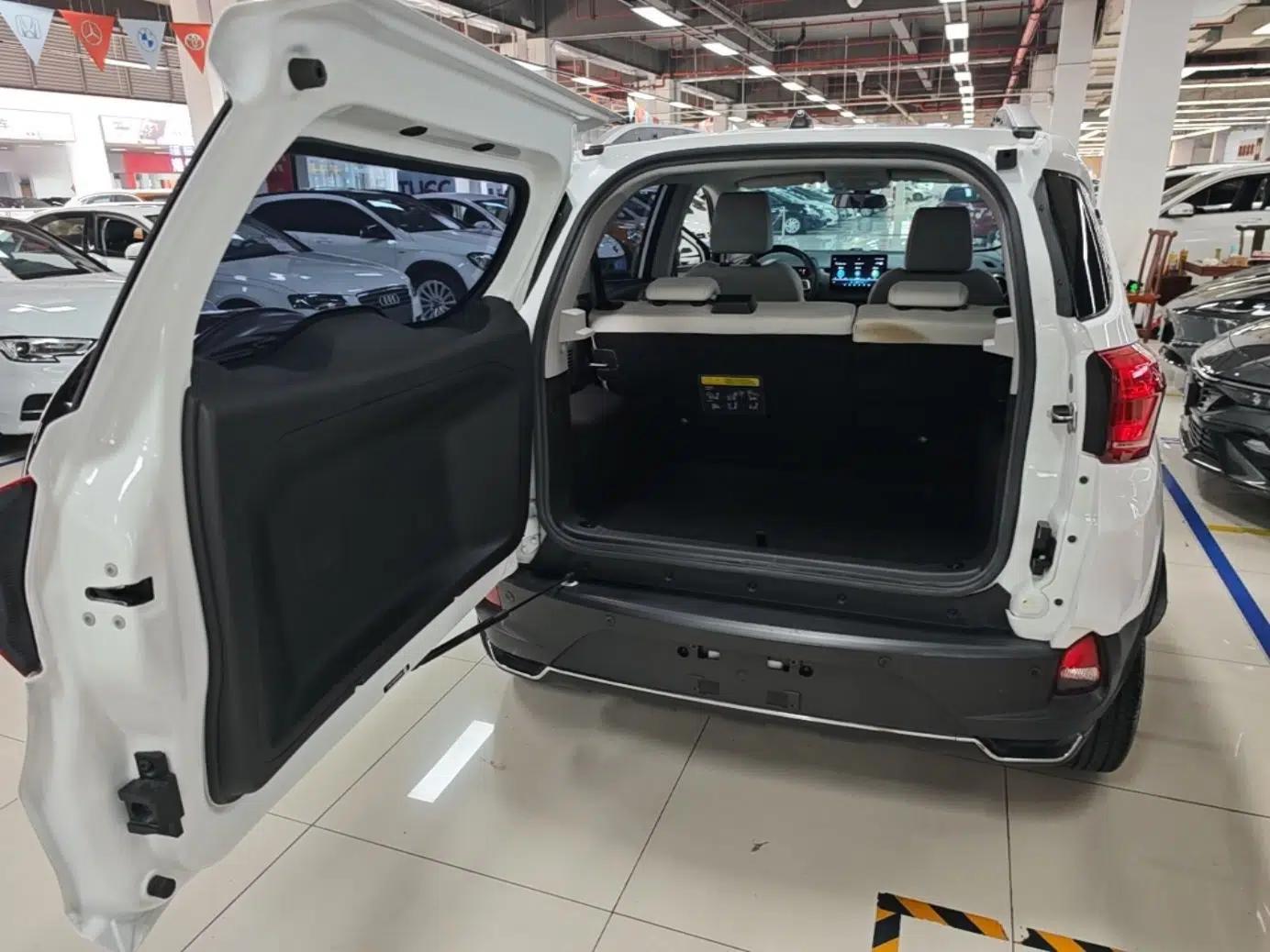 BYD Yuan Pro 2021 401 km Luxury Version — миниатюра 22