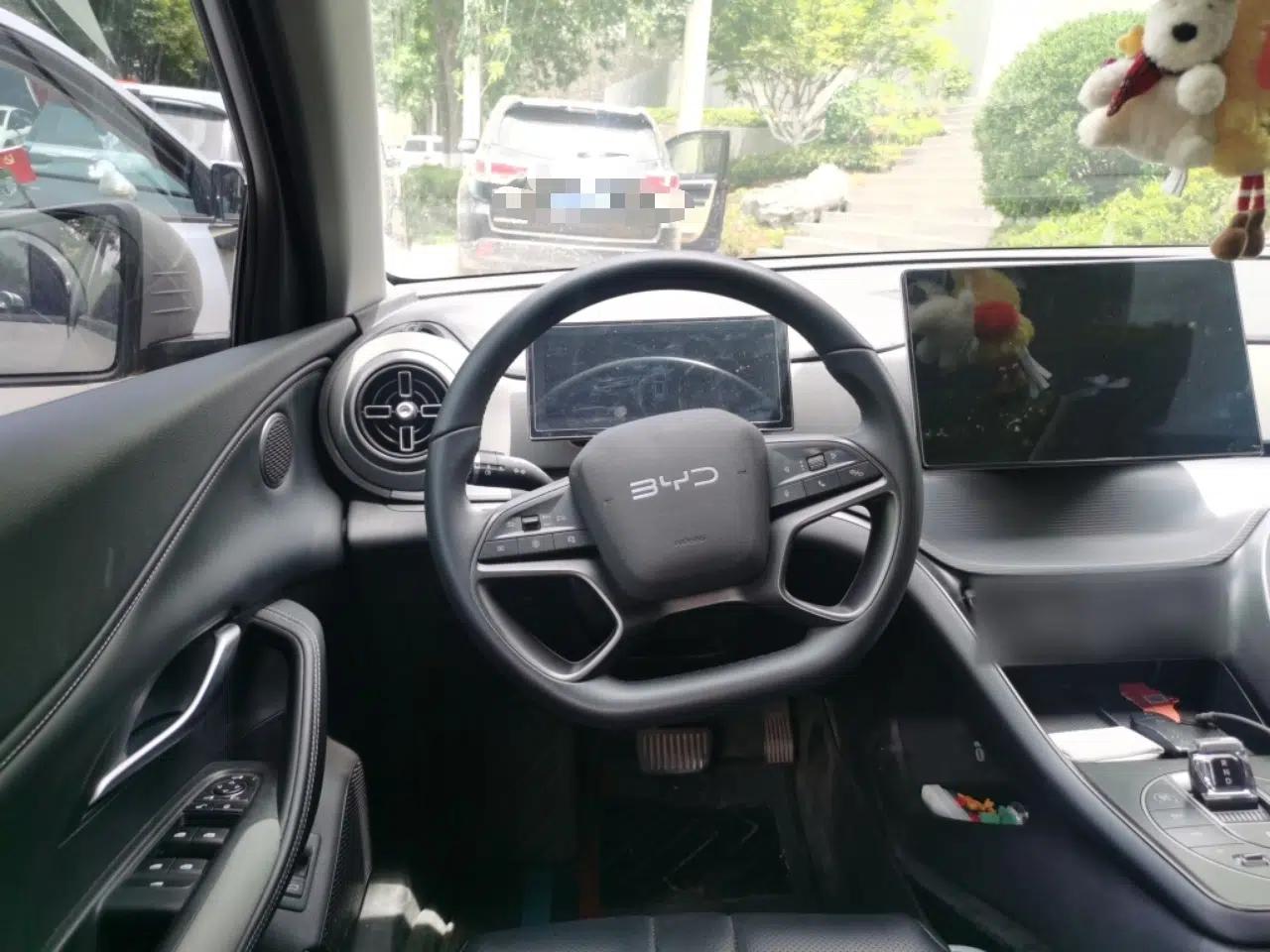 BYD Sealion 05 DM-i 2025 DM-i 75KM Prestige Model — миниатюра 11
