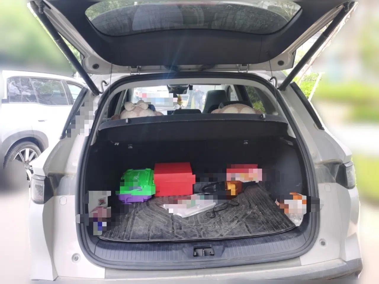 BYD Sealion 05 DM-i 2025 DM-i 75KM Prestige Model — миниатюра 20