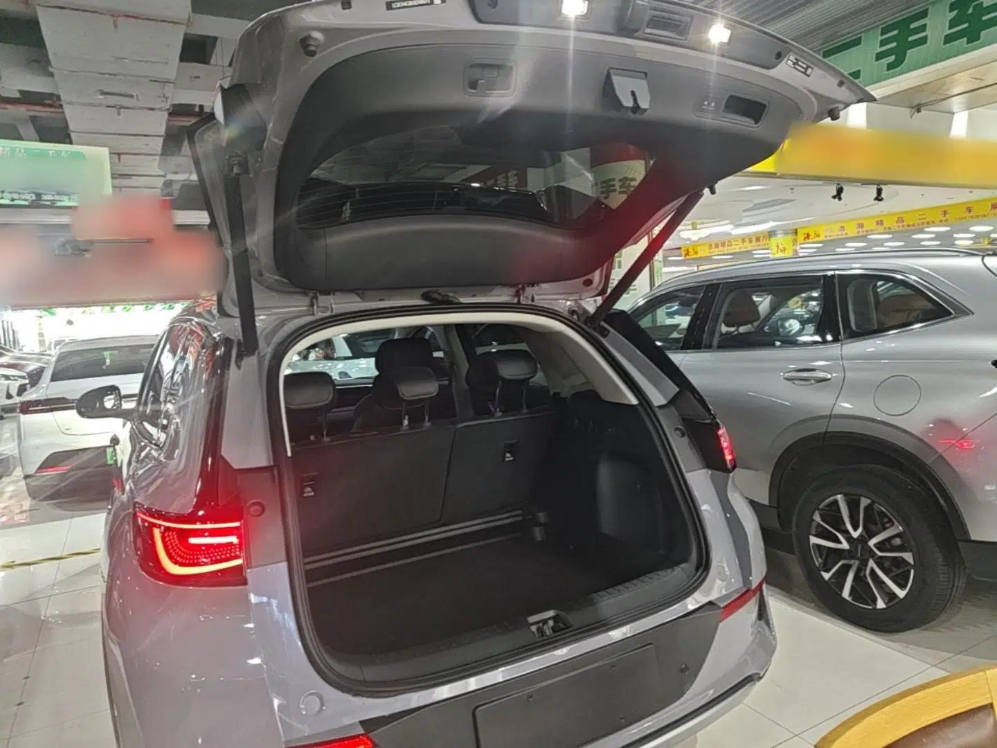 BYD Sealion 05 EV 2025 520 km Flagship SmartDrive Version — миниатюра 22
