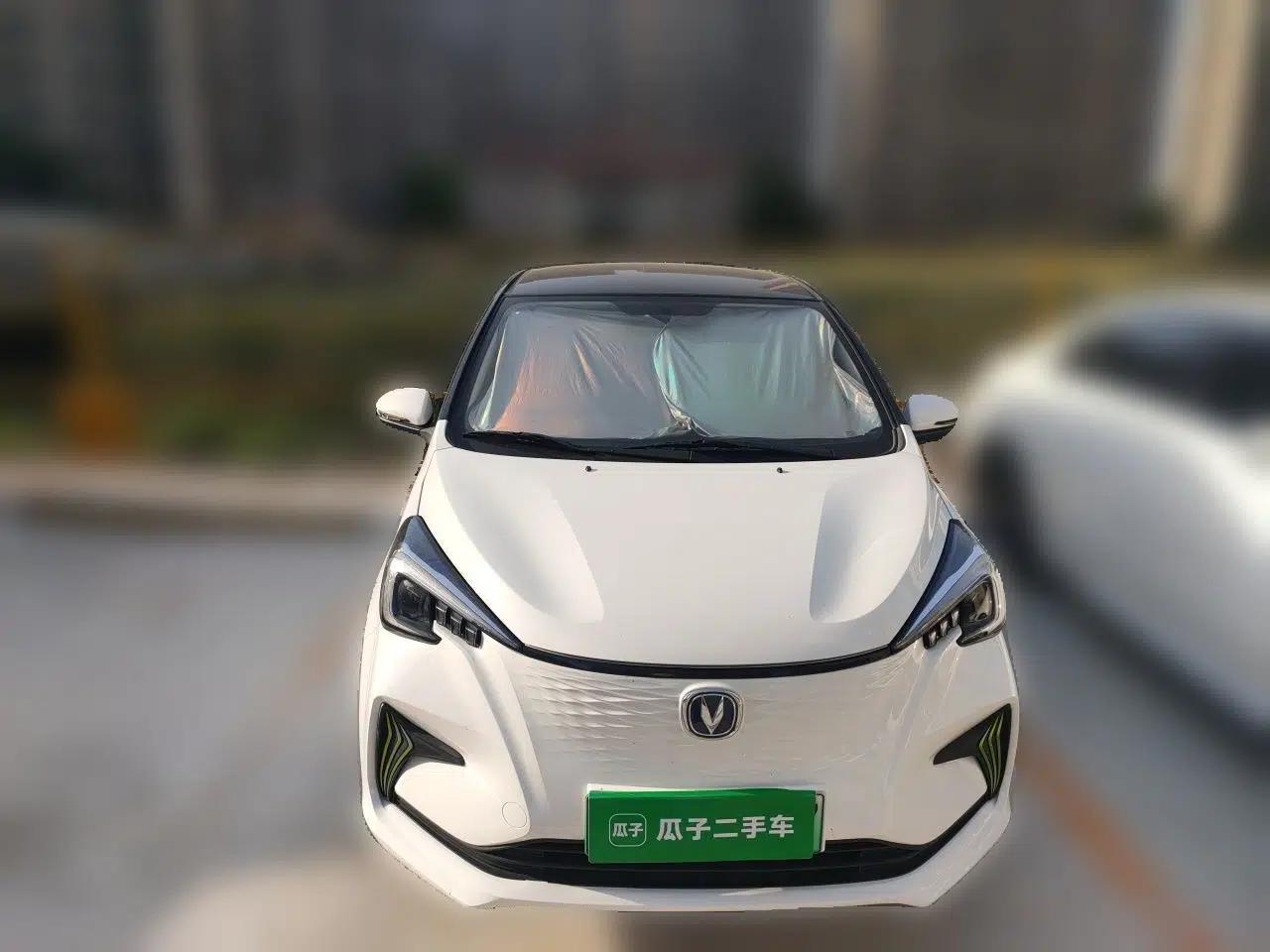 CHANGAN Benni E-Star 2022 Qingxin Edition Colorful Model Lithium Iron Phosphate — миниатюра 2