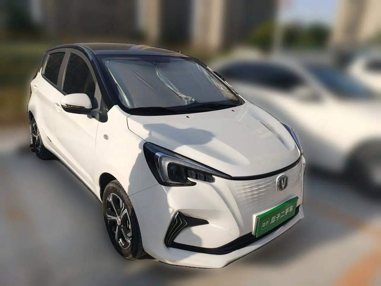 CHANGAN Benni E-Star 2022 Qingxin Edition Colorful Model Lithium Iron Phosphate — миниатюра 3