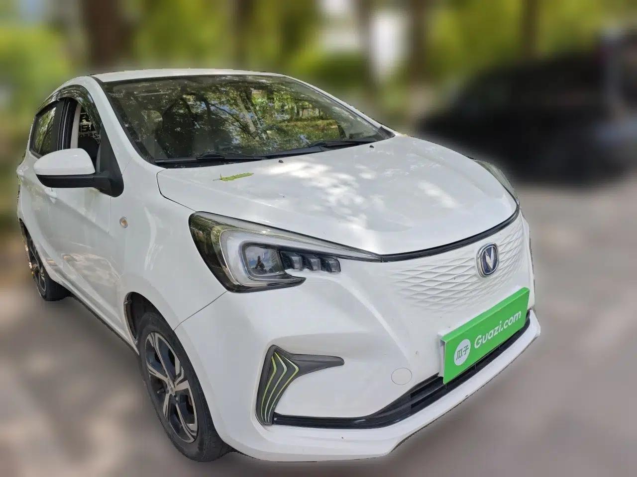 CHANGAN Benni E-Star 2022 Qingxin Edition Colorful Model Lithium Iron Phosphate — миниатюра 3