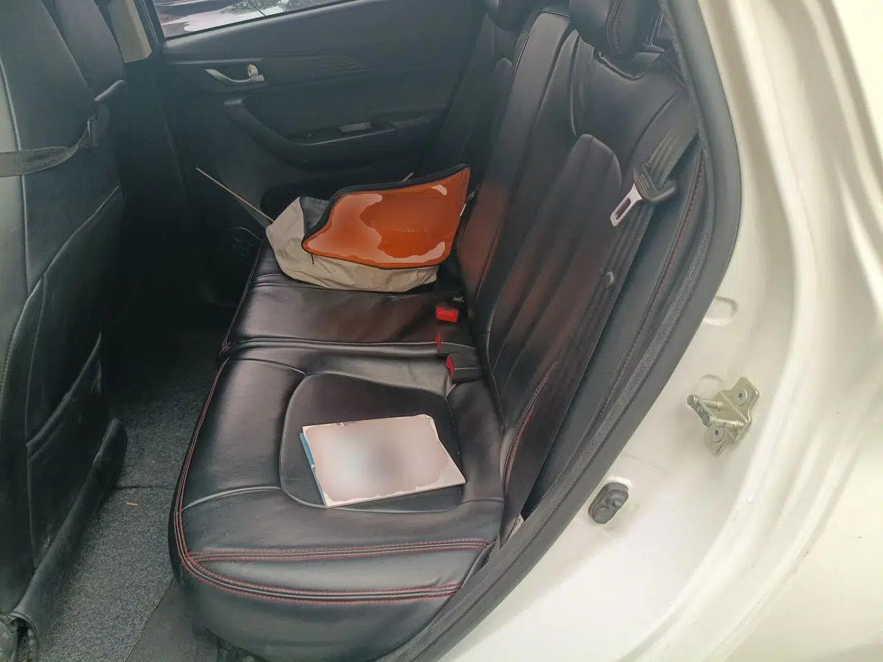 CHANGAN Benni E-Star 2020 Heartbeat Edition NMC Lithium — миниатюра 18
