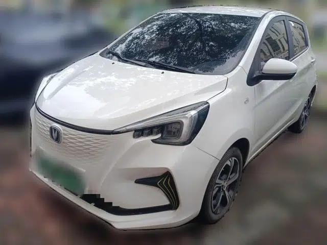 CHANGAN Benni E-Star 2020 Heartbeat Edition NMC Lithium