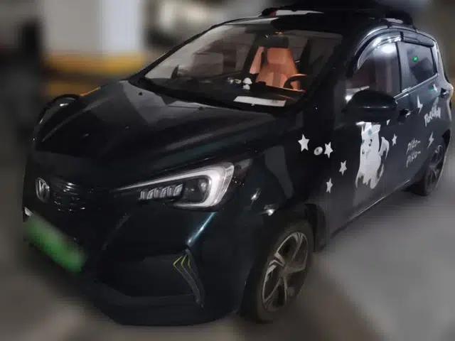 CHANGAN Benni E-Star 2022 Charming Edition Colorful Model Lithium-Ion Battery