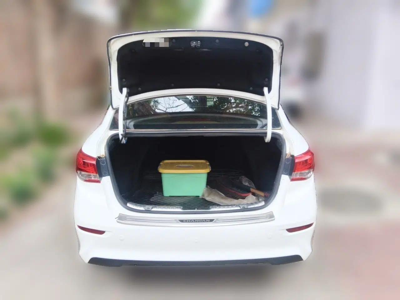 CHANGAN Alsvin 2019 1.5L DCT Comfort Model China VI Standard — миниатюра 20