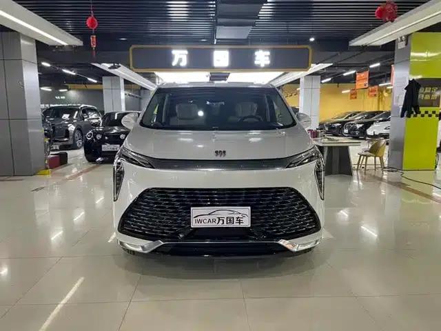 Century 2023 2.0T Six-Seat Luxury Edition
