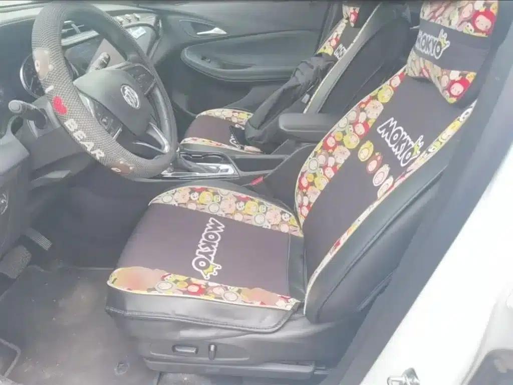 Encore GX 2020 20T CVT 2WD Luxury — миниатюра 22